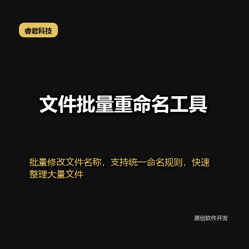 睿君文件批量重命名工具
